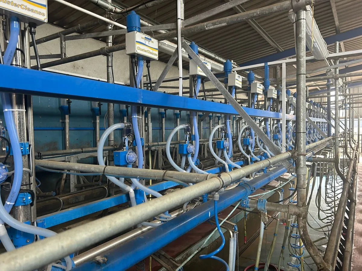 Dairymaster - Image 1
