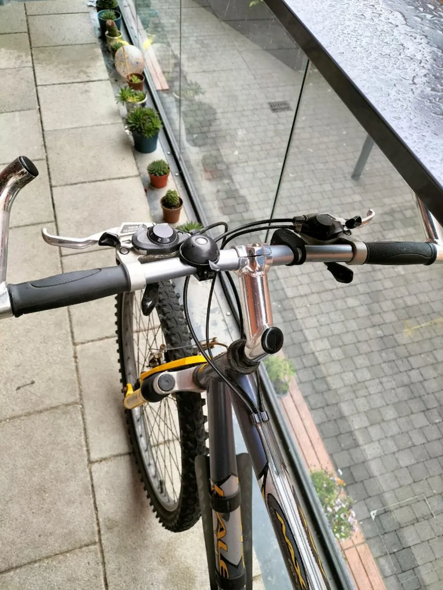 Bike - Image 1