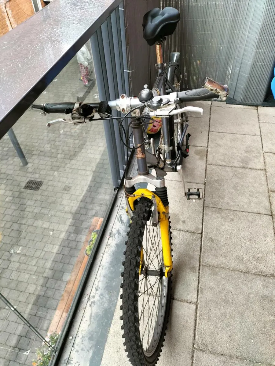 Bike - Image 2