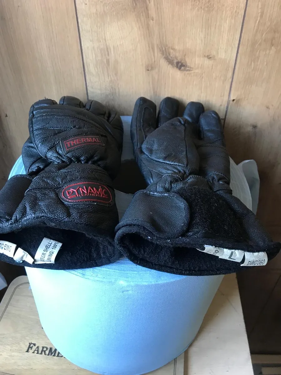 Dynamic Thermal Motorcycle Gloves Size Large - Image 2