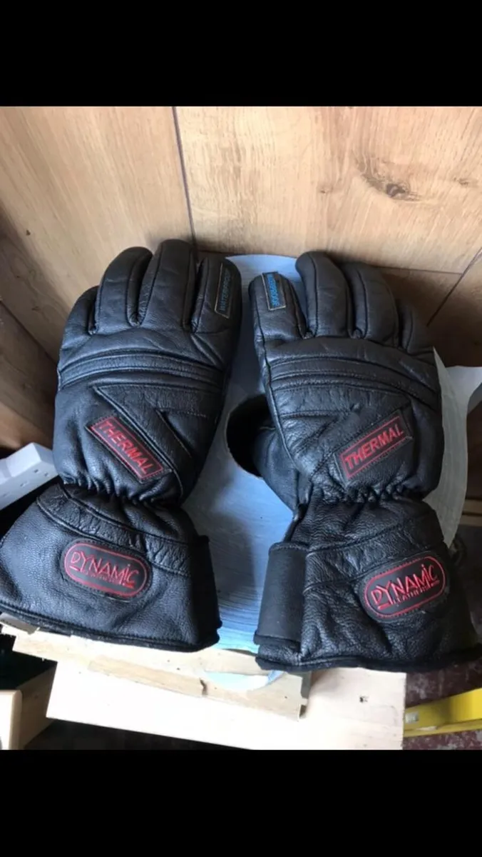 Dynamic Thermal Motorcycle Gloves Size Large - Image 1