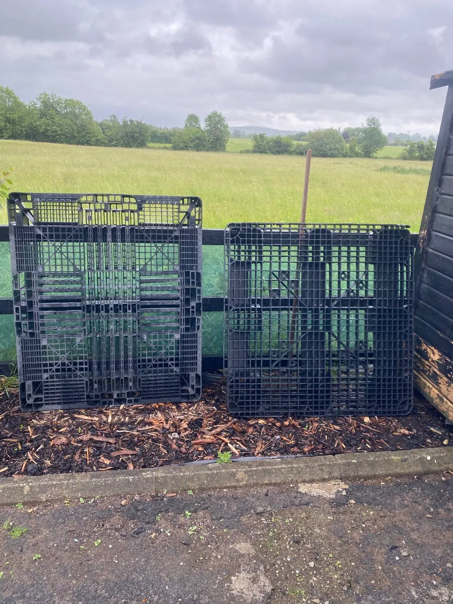 Two large heavy plastic pallets - Image 1