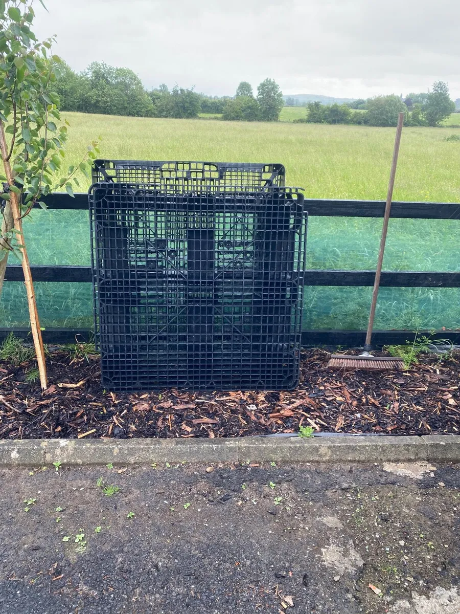 Two large heavy plastic pallets - Image 2