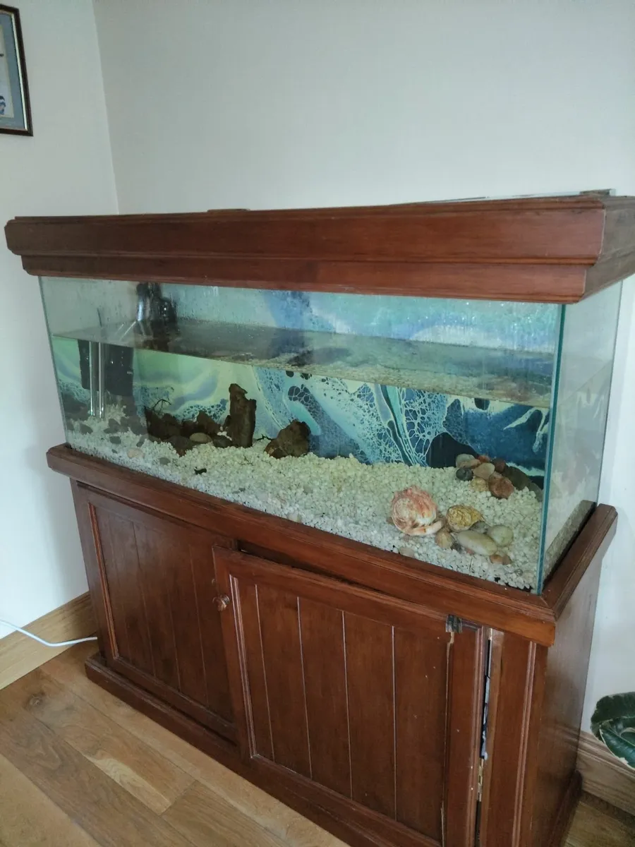 Aquarium - Image 1