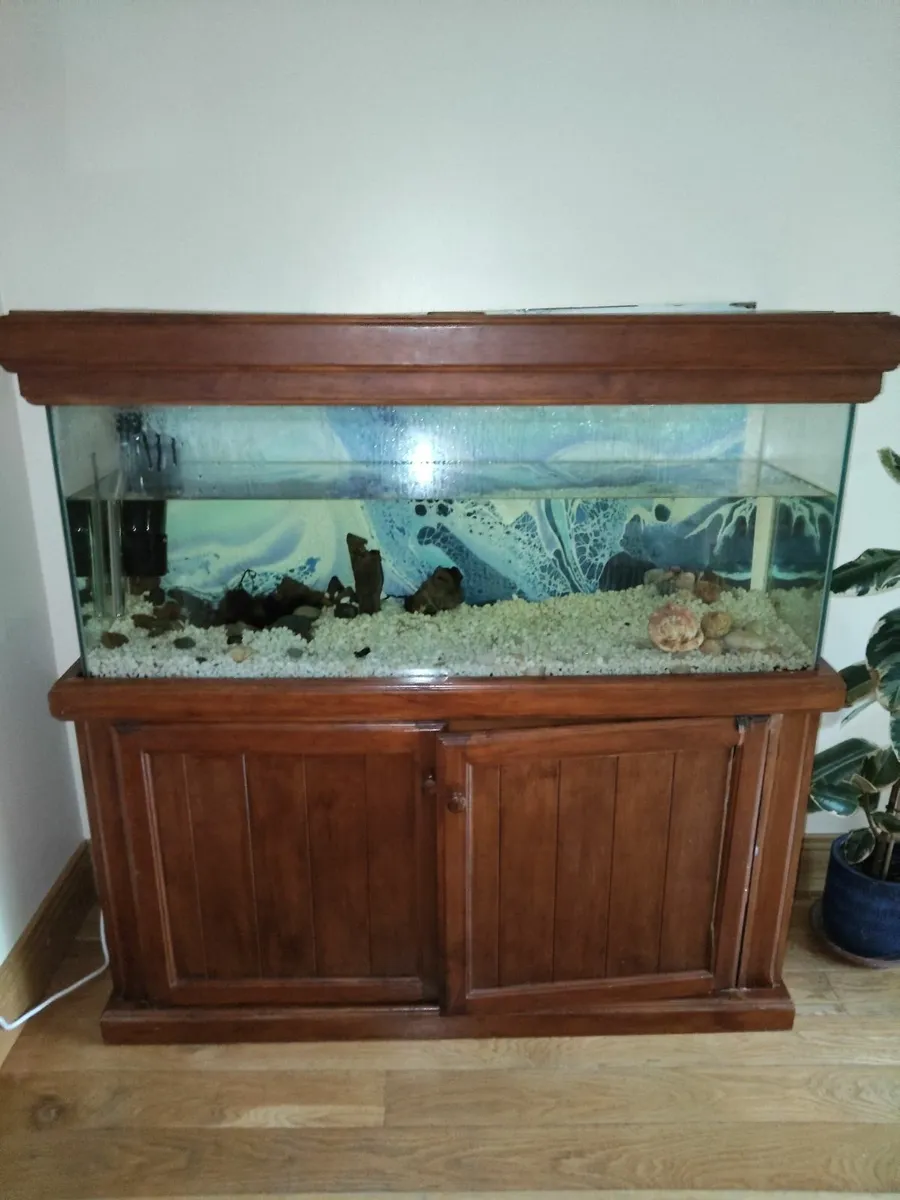 Aquarium - Image 2