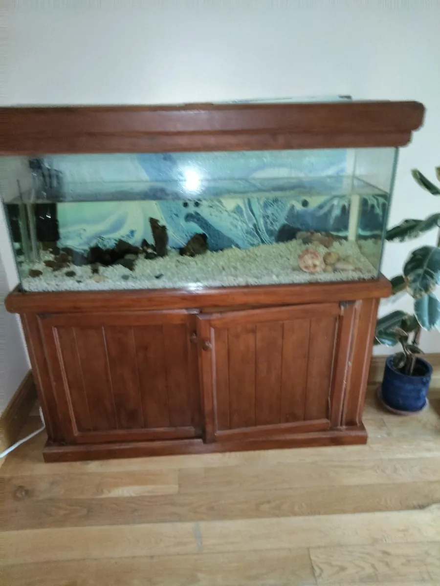 Aquarium - Image 3