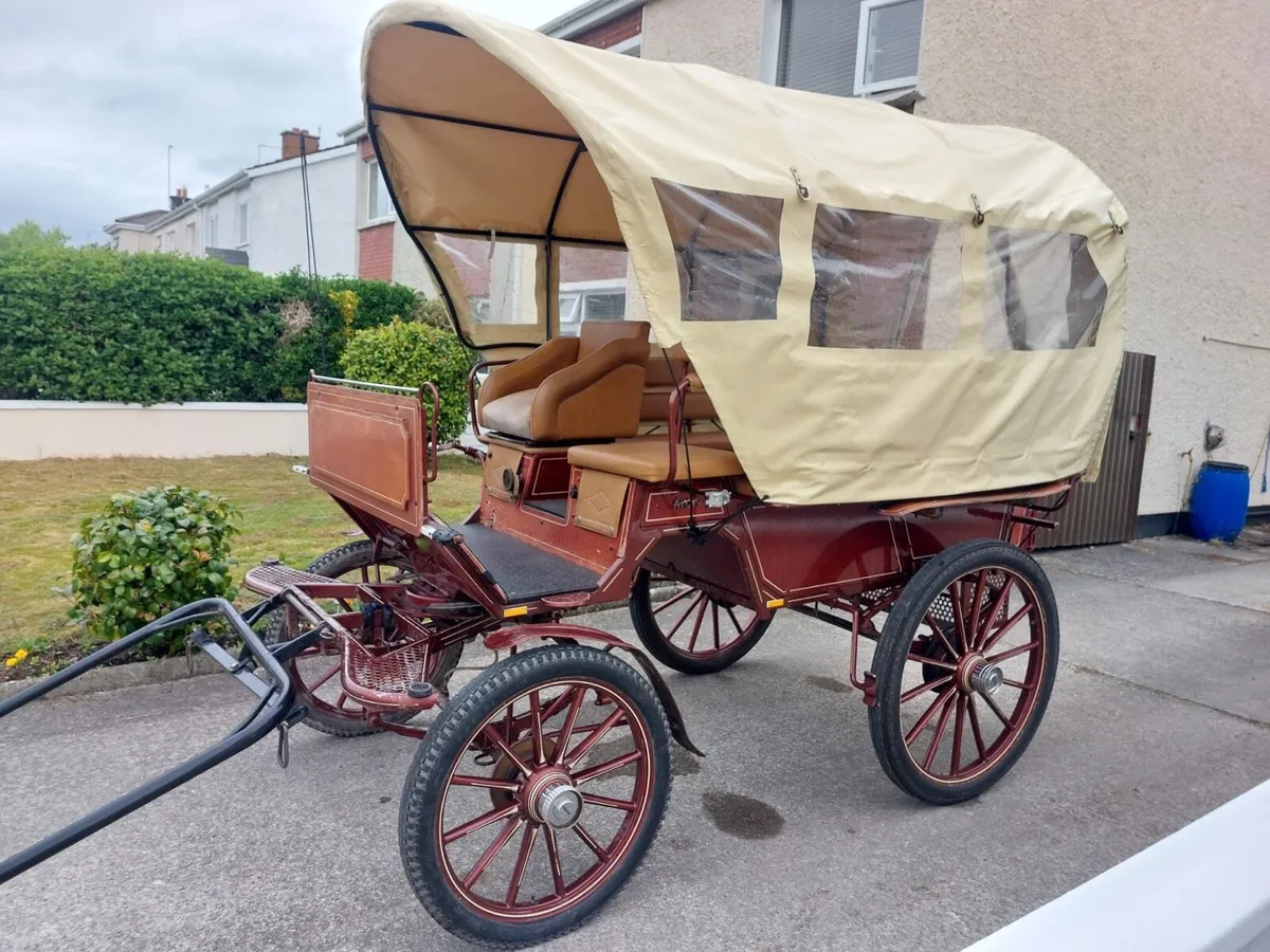 Polish wagon - Image 1