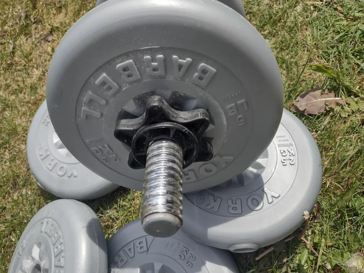 10kg weights - Image 3