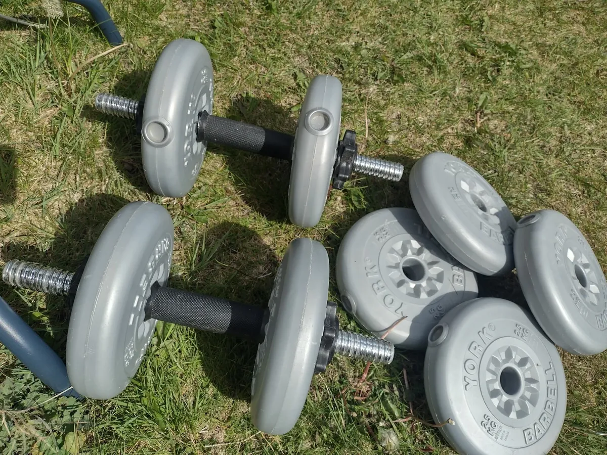 10kg weights - Image 4