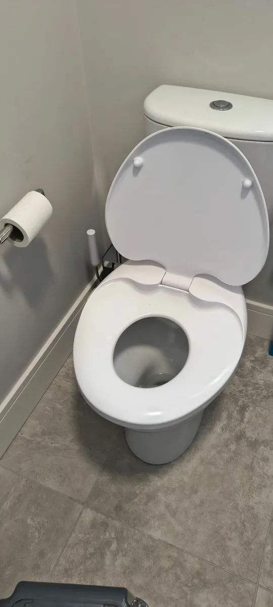 Toddler integrated toilet seat (FREE) - Image 1