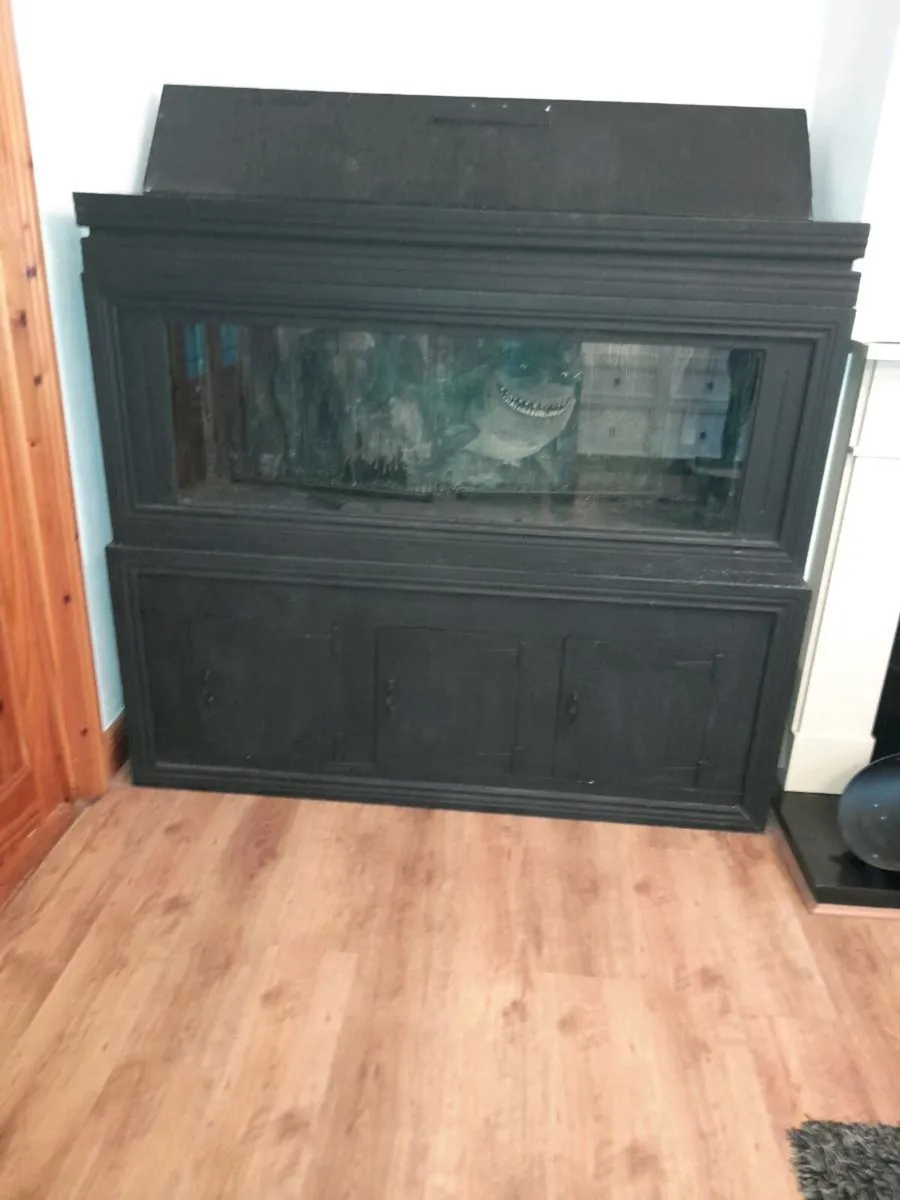 Aquarium - Image 4