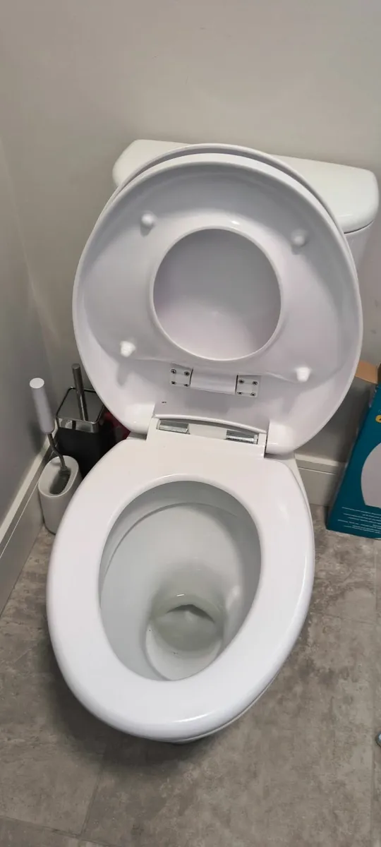 Toddler integrated toilet seat (FREE) - Image 3