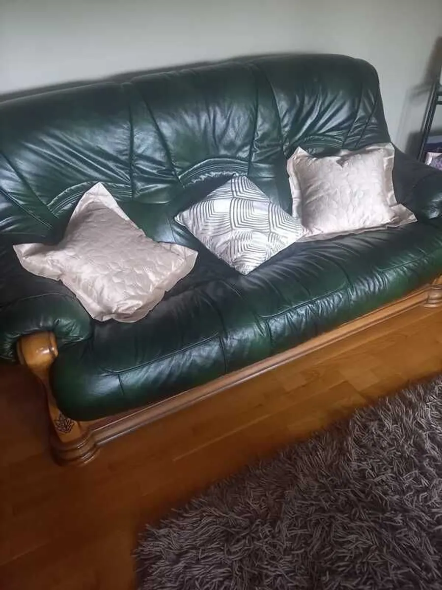 Leather Suite - Image 1