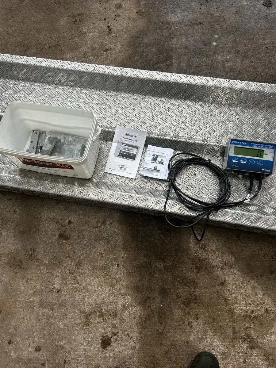 Cattle weigh scales - Image 3