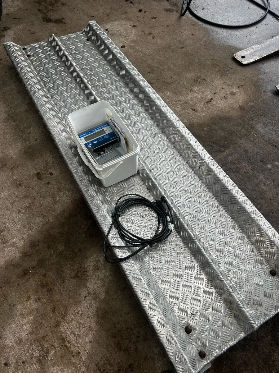 Cattle weigh scales - Image 2