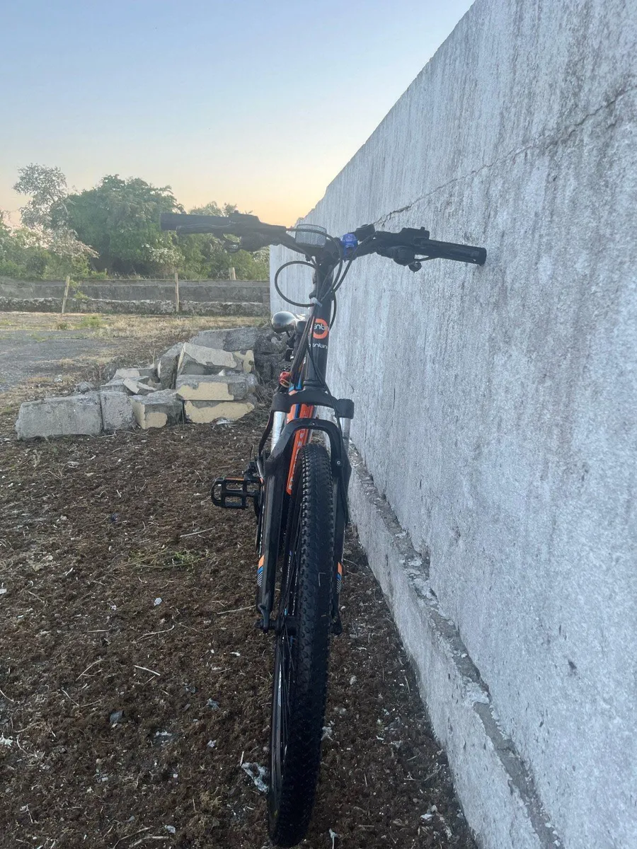 Bentini bike - Image 2