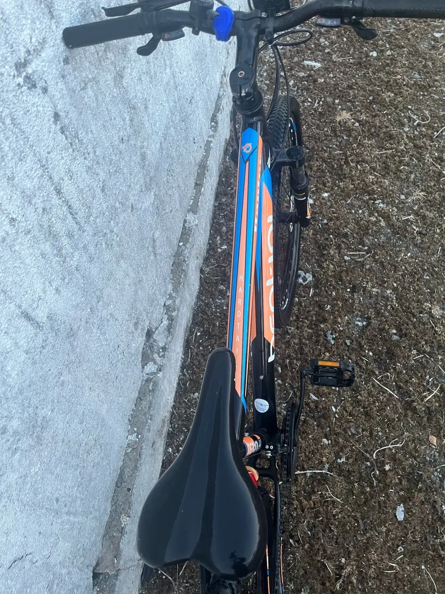 Bentini bike - Image 3