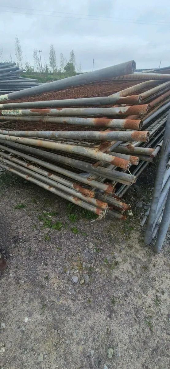 Heras fencing - Image 2