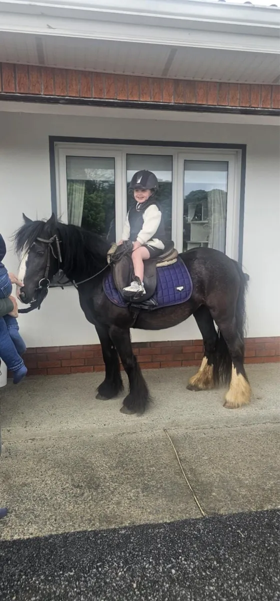 !* 12.1 kids first pony !* - Image 1