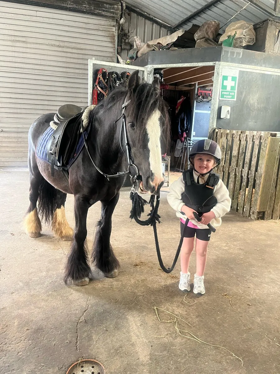 !* 12.1 kids first pony !* - Image 2