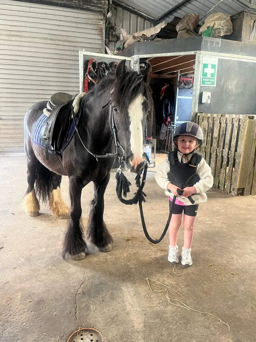 !* 12.1 kids first pony !* - Image 3