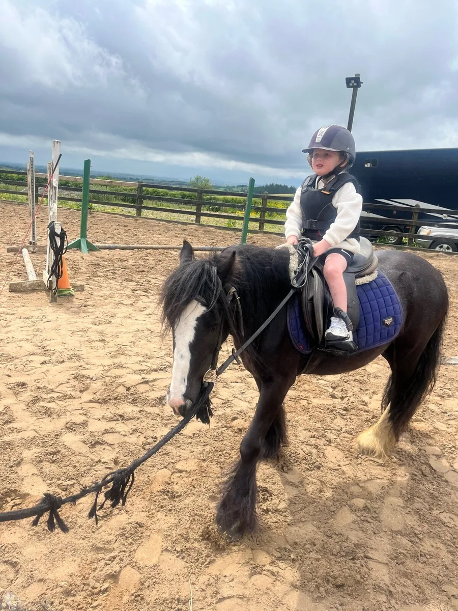 !* 12.1 kids first pony !* - Image 4