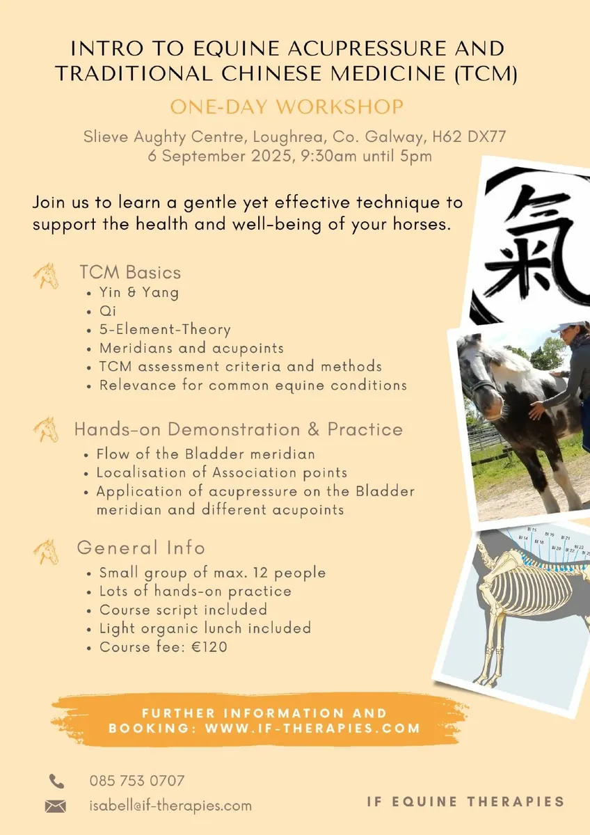 Equine Bodywork Workshops - Image 2