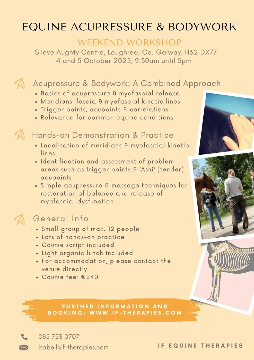 Equine Bodywork Workshops - Image 3