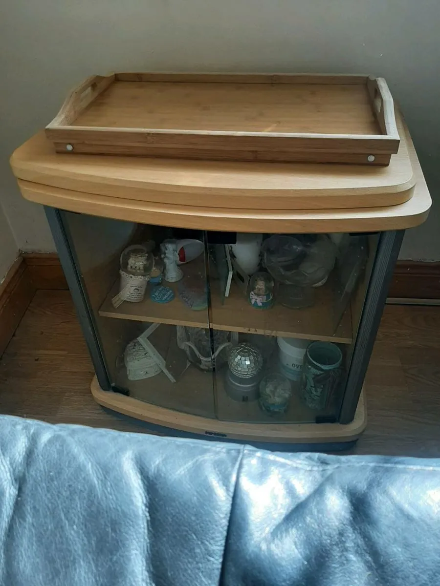TV unit