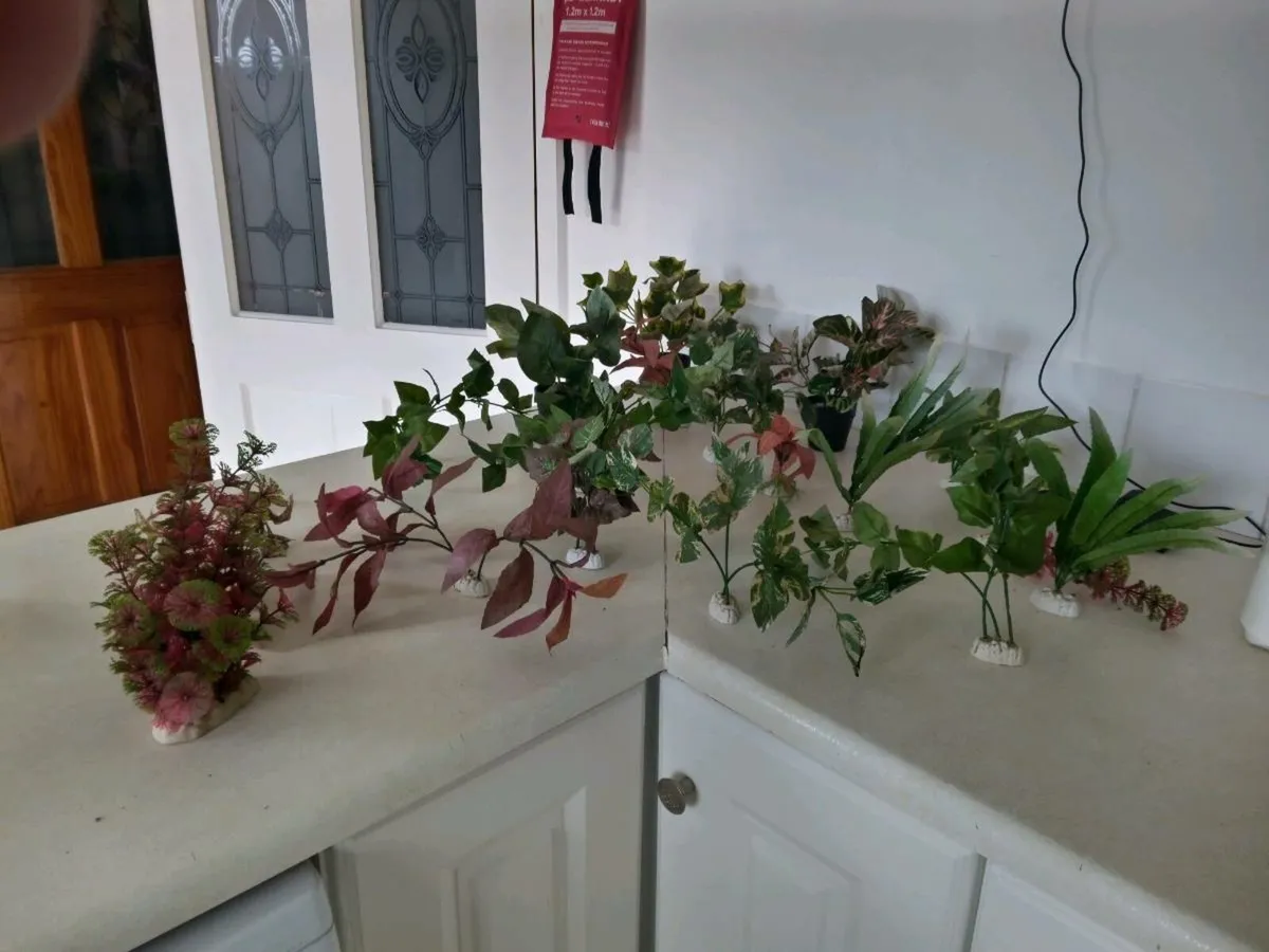 Aquarium silk plants - Image 1