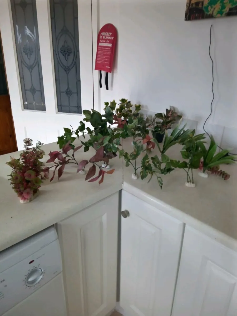 Aquarium silk plants - Image 2