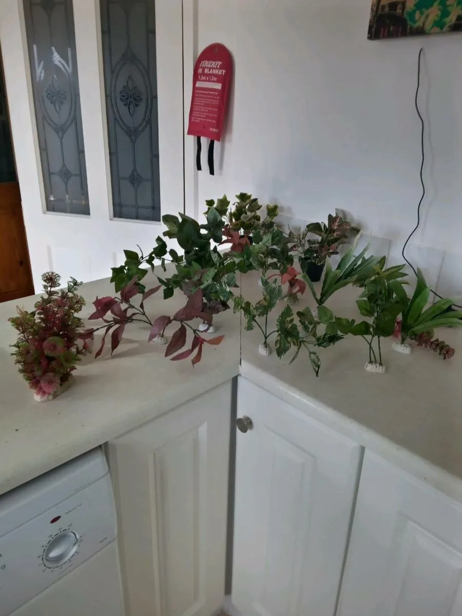 Aquarium silk plants - Image 3