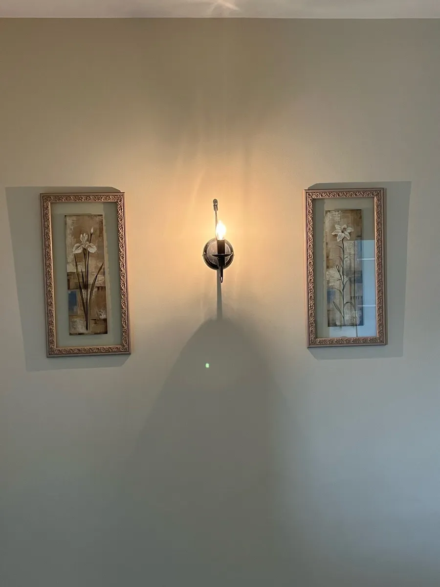 Pair of Vintage Framed Floral Prints - Image 1