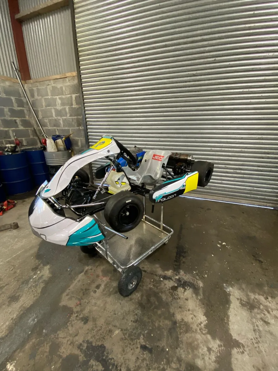 Iame cadet kart - Image 1