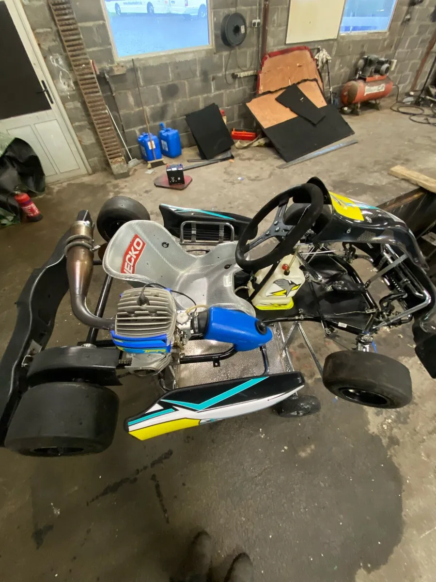 Iame cadet kart - Image 2