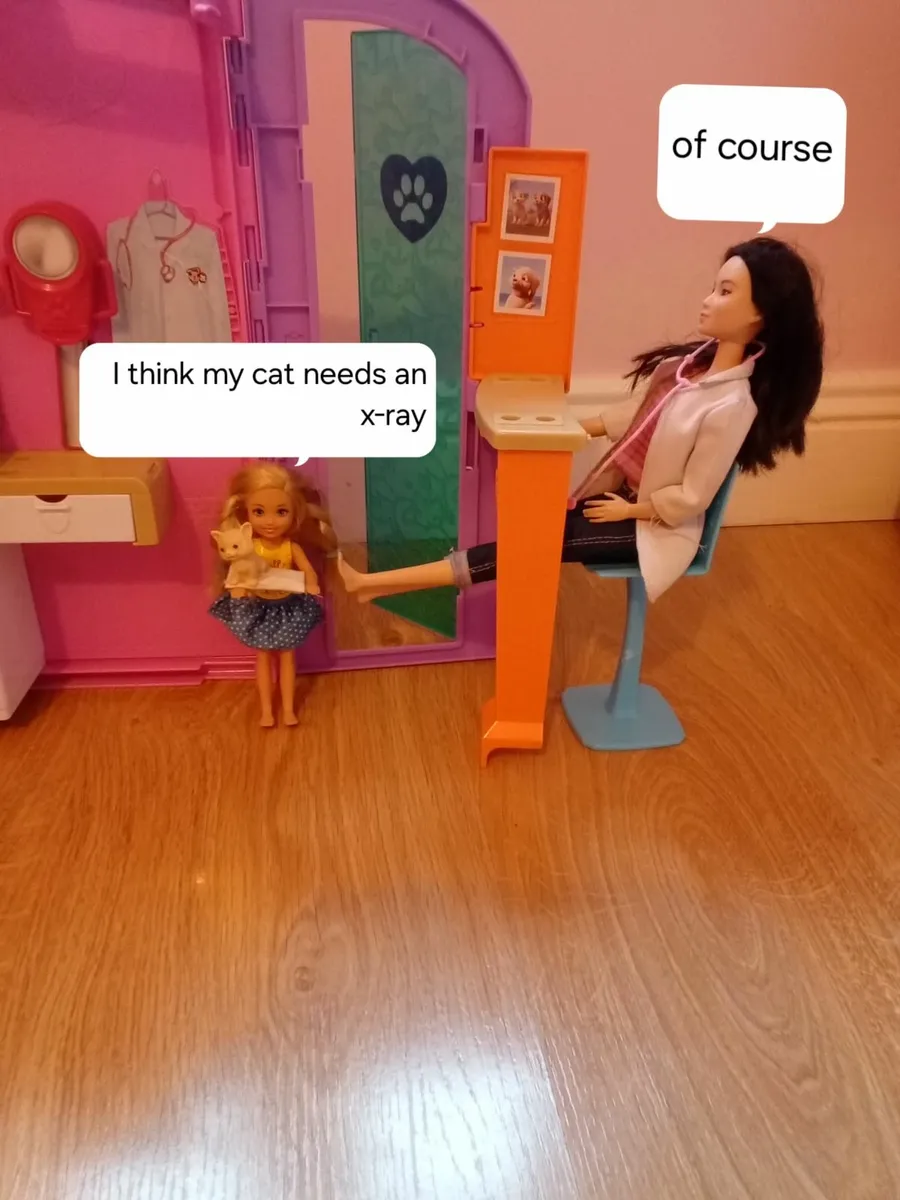 Barbie vet clinic - Image 3