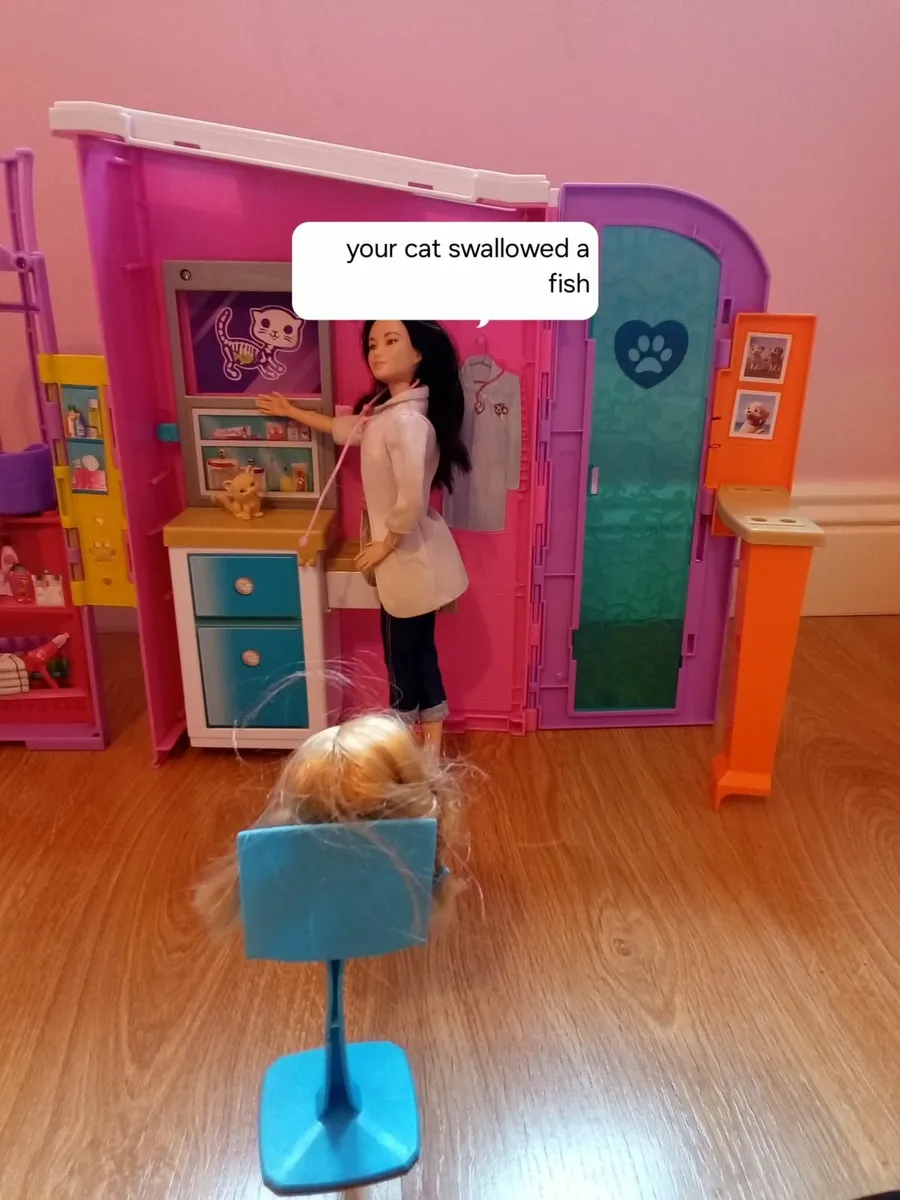 Barbie vet clinic - Image 4