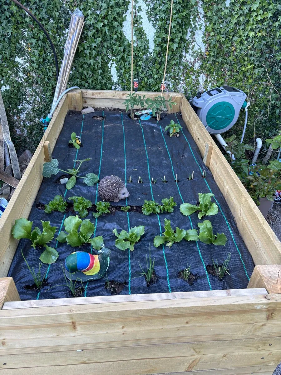Vegetable / Garden Planter - Image 1