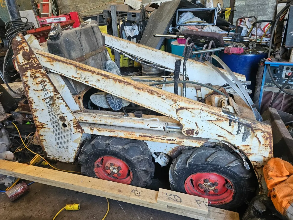 Bobcat - Image 3