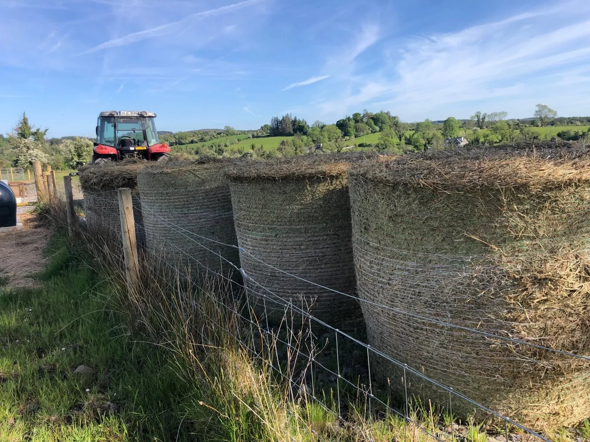 Bales of rushes/Bedding - Image 1