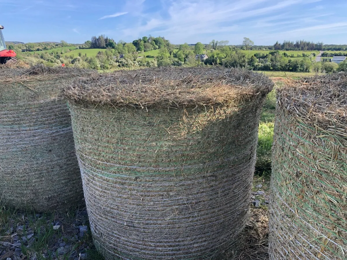 Bales of rushes/Bedding - Image 2