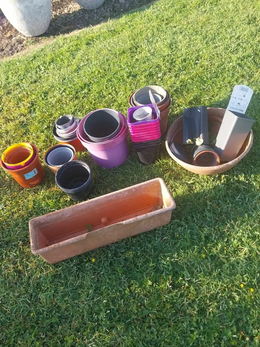 Plant Pots