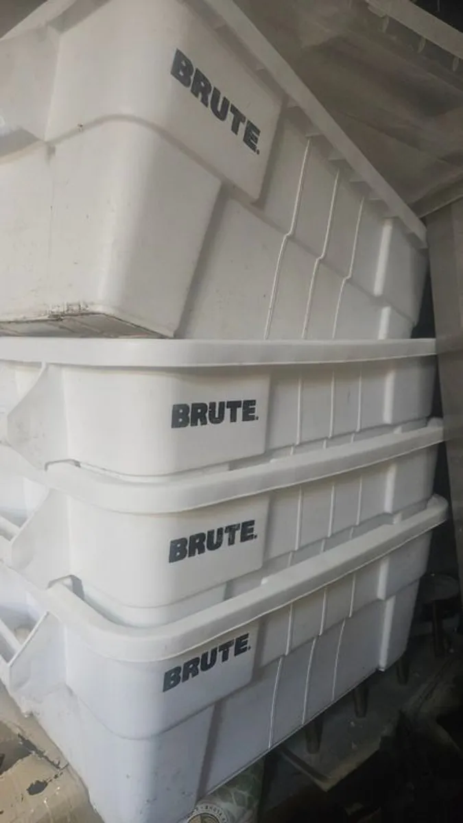Brute Containers - Image 2