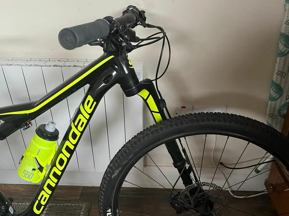 Bike - Image 1