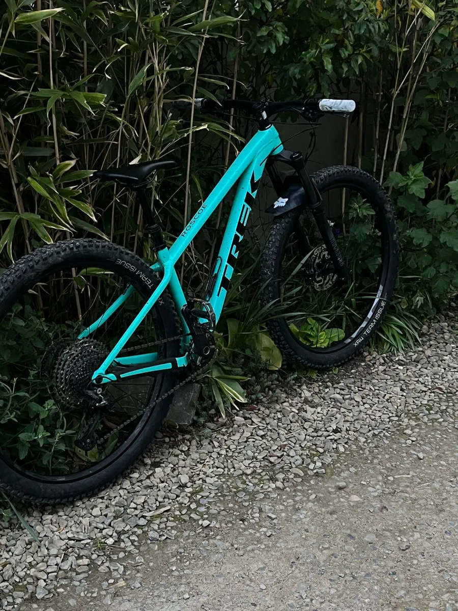 NEW ROSCOE 7 !!!!! (NEED GONE) - Image 1
