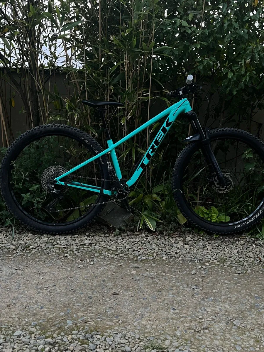 NEW ROSCOE 7 !!!!! (NEED GONE) - Image 2