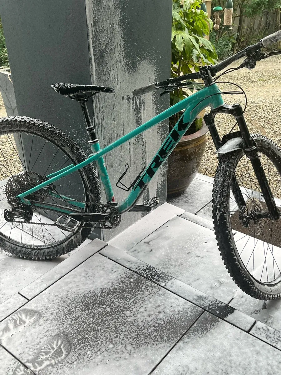 NEW ROSCOE 7 !!!!! (NEED GONE) - Image 3