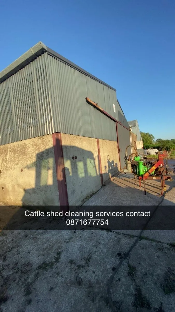 Cattle shed cleaning services
