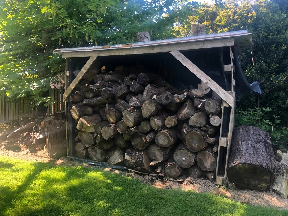 Wood, free to take away - Image 1