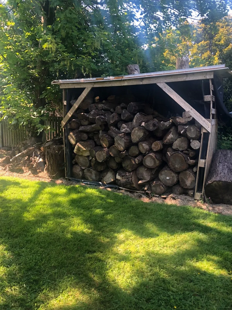 Wood, free to take away - Image 2